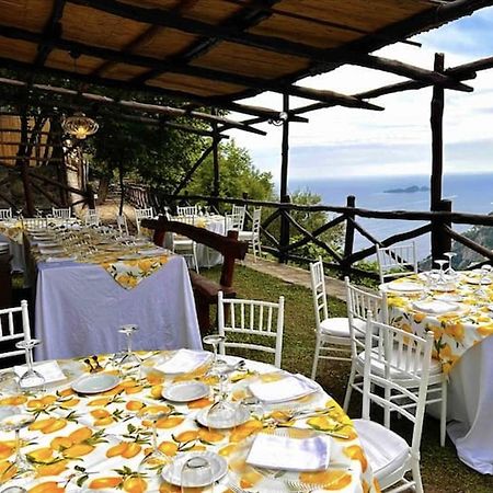 Villa Graziella Positano "A Piece Of Paradise" エクステリア 写真