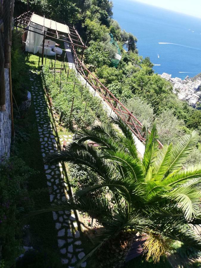 Villa Graziella Positano "A Piece Of Paradise" エクステリア 写真